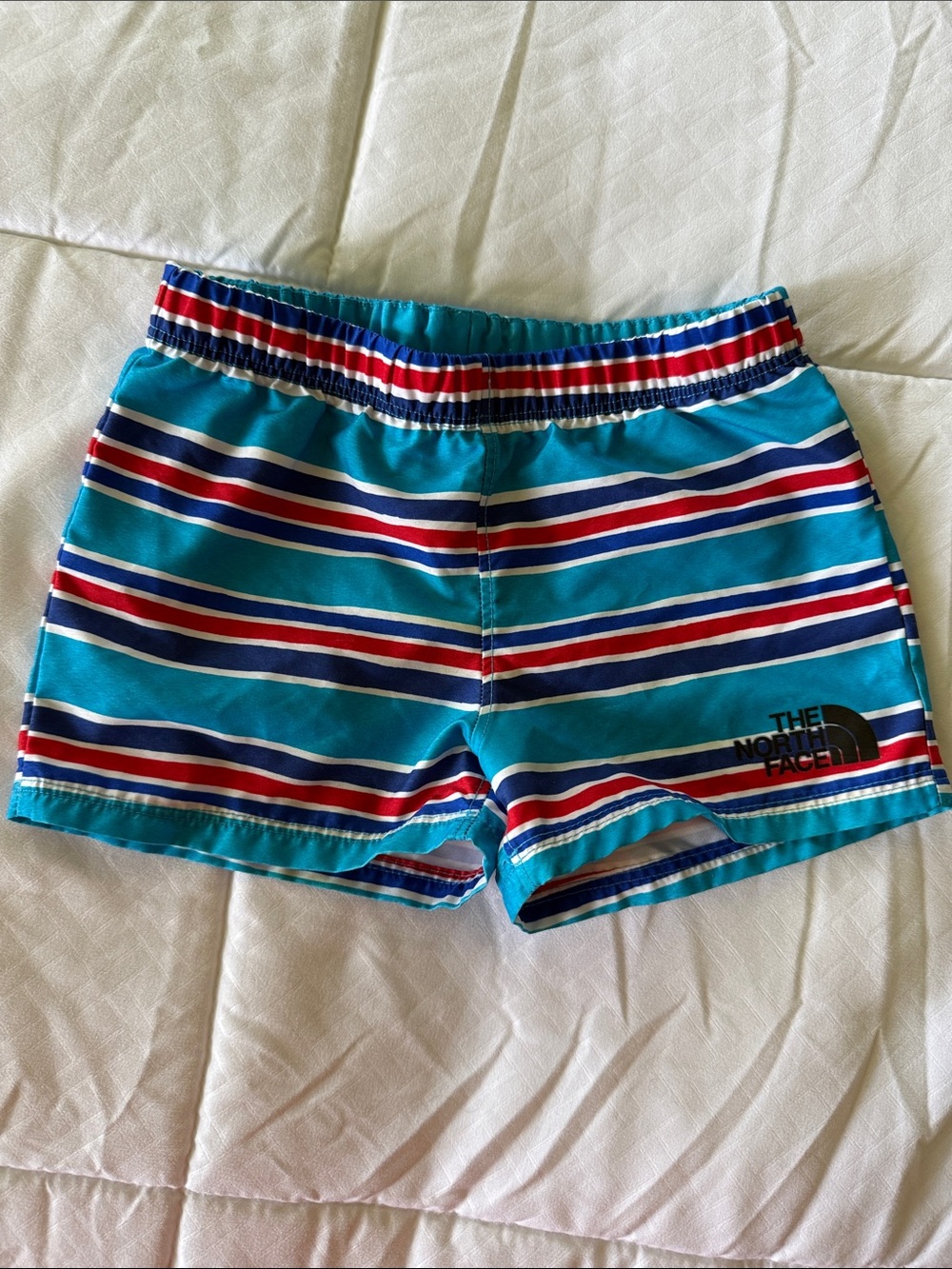 The North Face Teal Striped Swim Trunks with Red & Navy Accents
